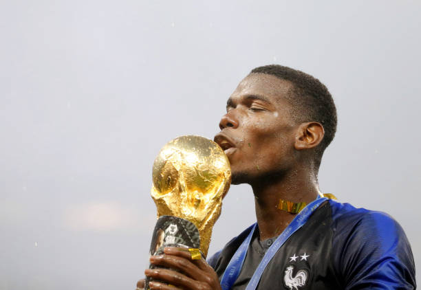 的自由奔放 的自由奔放