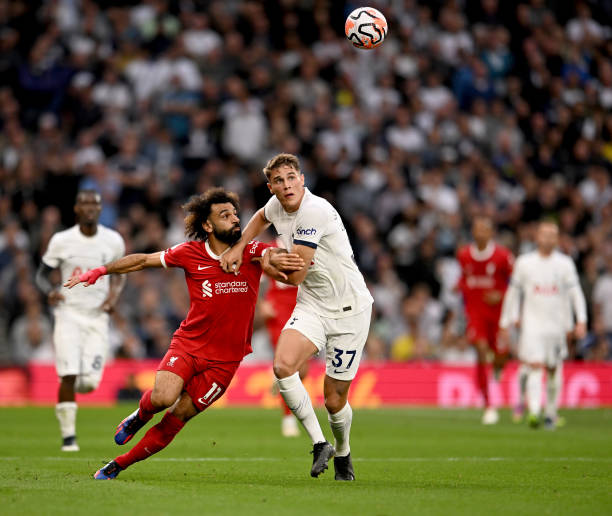 期发展上 期发展上